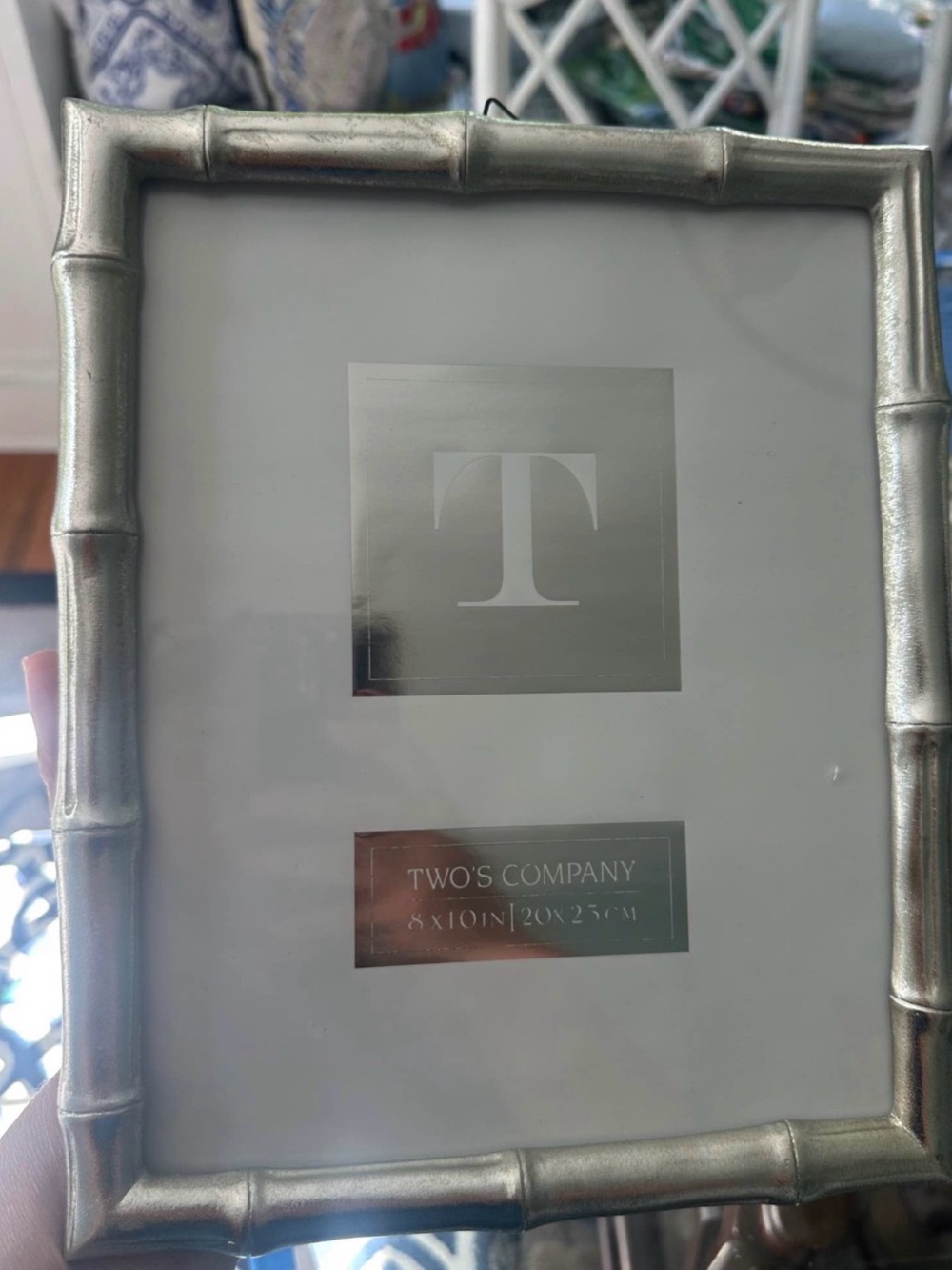 Two's Company Silver Bamboo-Style Picture Frame